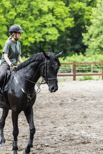 Girl sportsman rides on horse — Stock Photo, Image