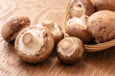 bol miktarda taze mantar 