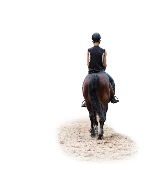 Man riding on a horse — Stock Photo, Image