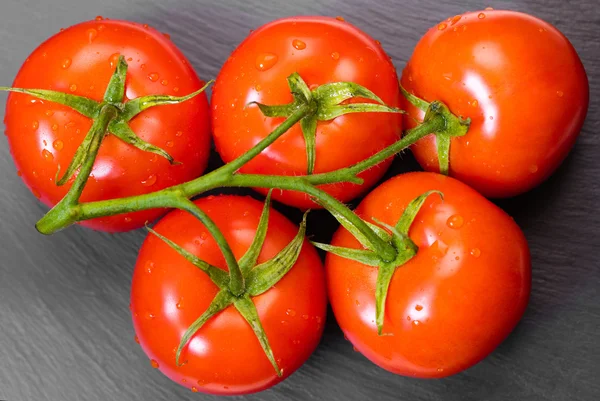 Tak van biologische tomaten — Stockfoto