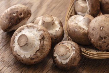 bol miktarda taze mantar 