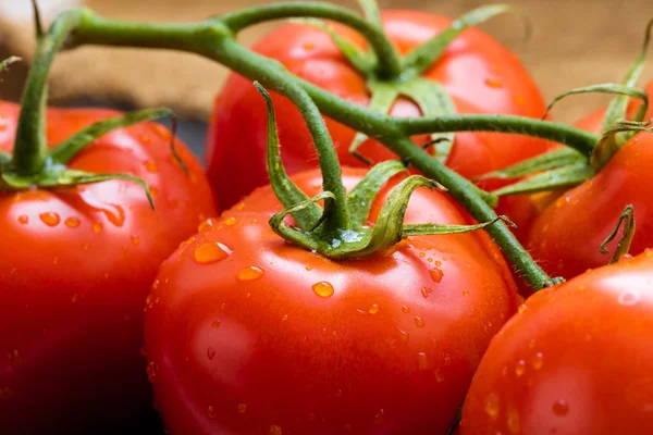 Branch of organic tomatoes close-up Stock Photo