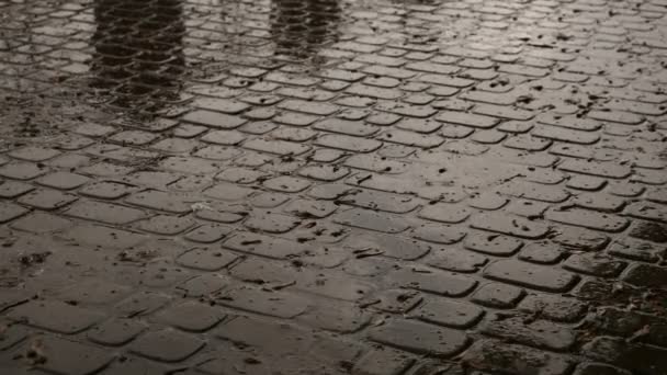 雨滴 — 图库视频影像