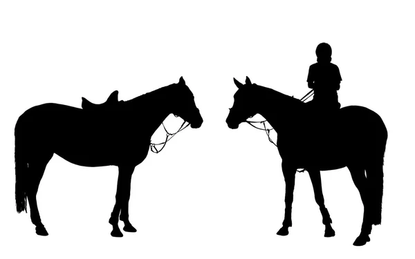 Vector man on horseback — Stock Vector