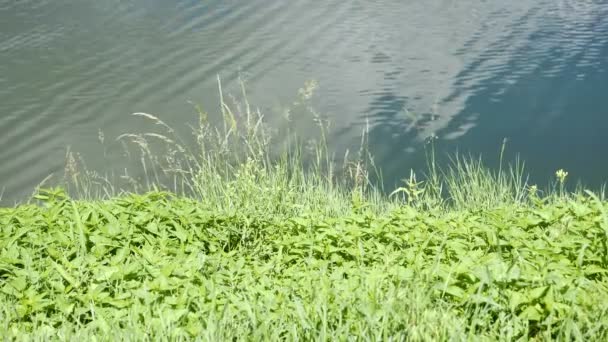 Ondulação na água com o reflexo das nuvens — Vídeo de Stock