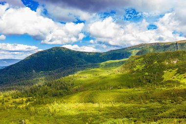 Karpatlar manzarada yaz