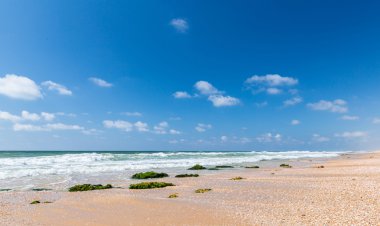 Denizi ve kumlu Sahili