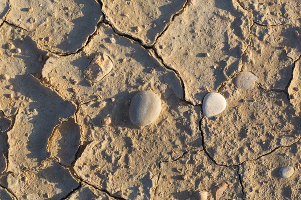 Textur trockene rissige Erde — Stockfoto