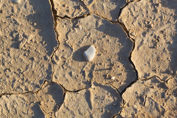 Textura tierra agrietada seca — Foto de Stock