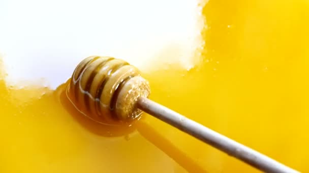 Honey dripping in a bowl full of honey — Stock Video