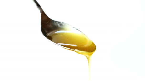 Druipend op een lepel honing — Stockvideo