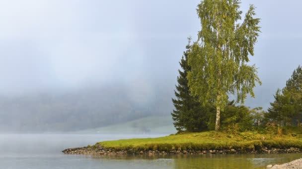 Paesaggio Norvegese Lago Alberi Nella Nebbia — Video Stock