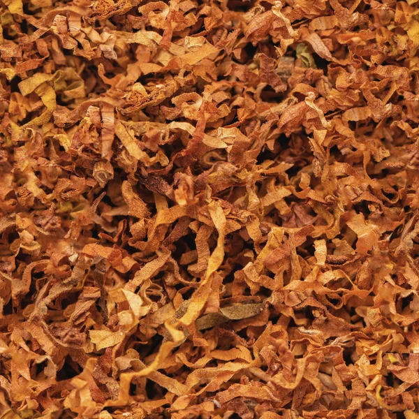 Abstract Background Texture Tobacco Closeup — Stock Photo, Image