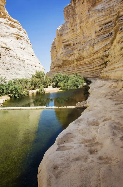 Rivier in een rotsachtige kloof — Stockfoto