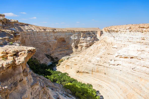 Landschaft der Schlucht in der Wüste Negev — Stockfoto