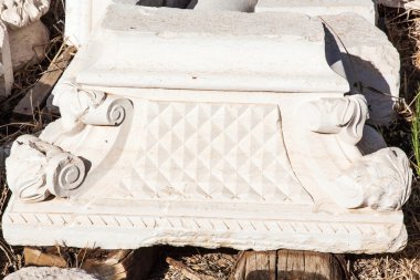  colon romainRoma kolon