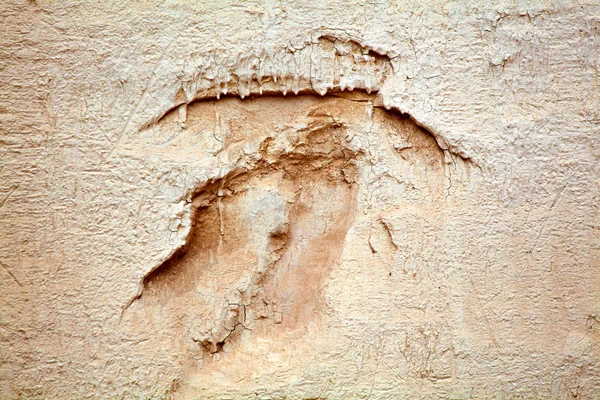 Texture of the Cretaceous — Stock Photo, Image