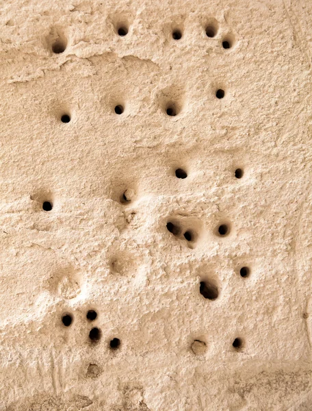 Cretaceous rocks with holes in closeup — Stock Photo, Image