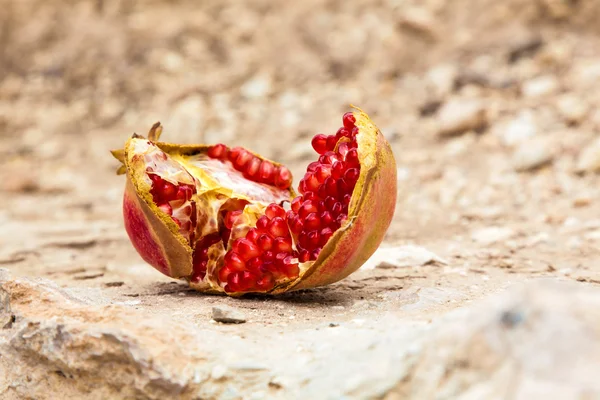水果成熟多汁石榴籽 — 图库照片