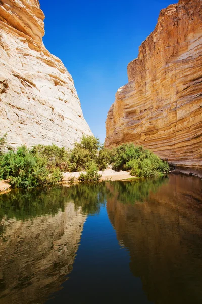 Schlucht mit natürlichen Wasserquellen — Stockfoto