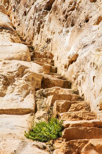 Taş merdiven yol açar — Stok fotoğraf