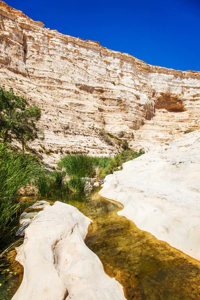 Canyon landschap met oase — Stockfoto