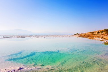 Manzara Dead Sea 