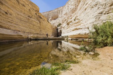 Turistler bir su kaynağına geçirmek