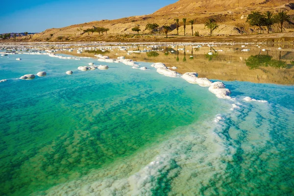 Ölü Deniz sahil şeridine manzara — Stok fotoğraf