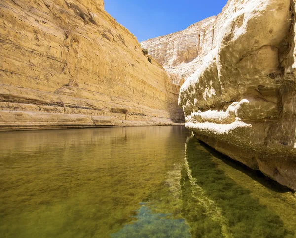 A deep gorge — Stock Photo, Image