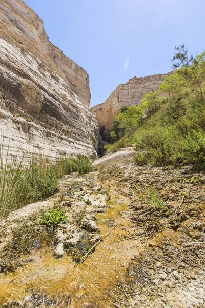 Landschap kloven — Stockfoto