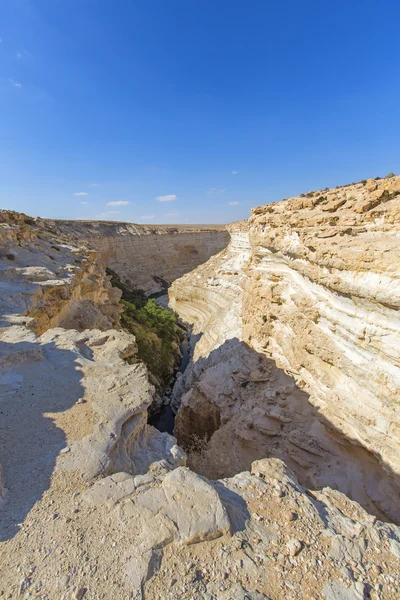 Negev desert landscape — Stock Photo, Image