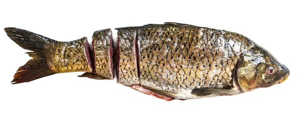 Rensade fisk karp — Stockfoto
