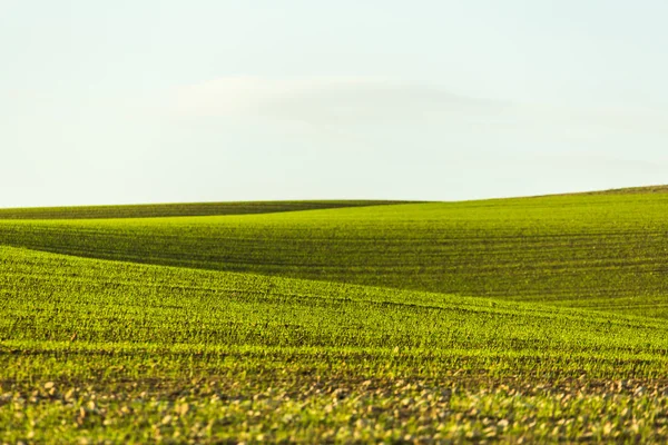 The rural landscape — Stock Photo, Image