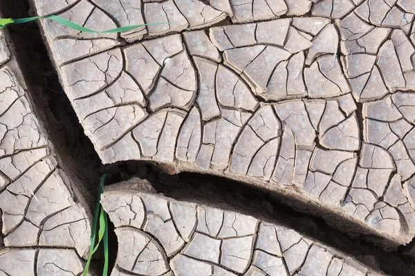 Primer plano de tierra agrietada — Foto de Stock