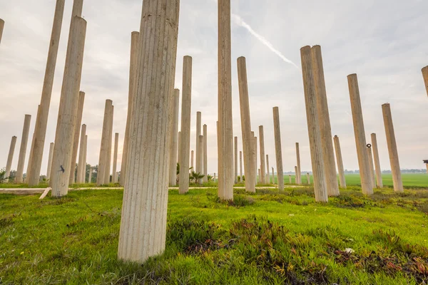 Veld met concrete pijlers — Stockfoto