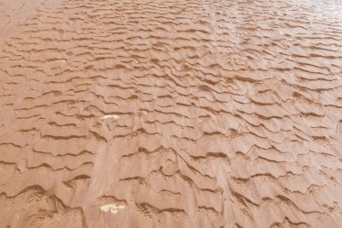 ıslak kum portre dokusuna