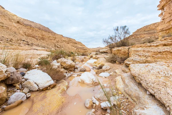 Landschap in de woestijn — Stockfoto