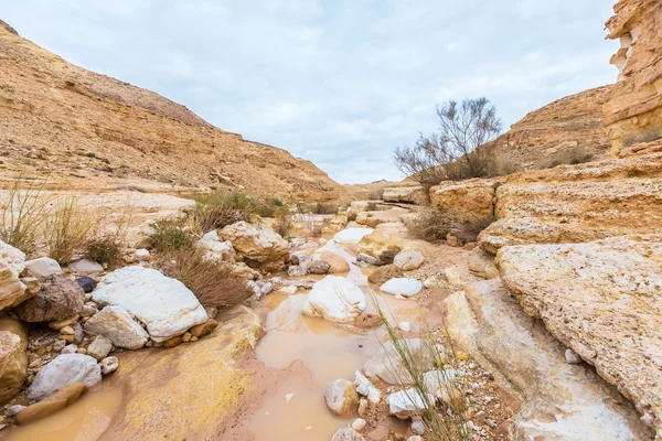 Scenario nel deserto — Foto Stock