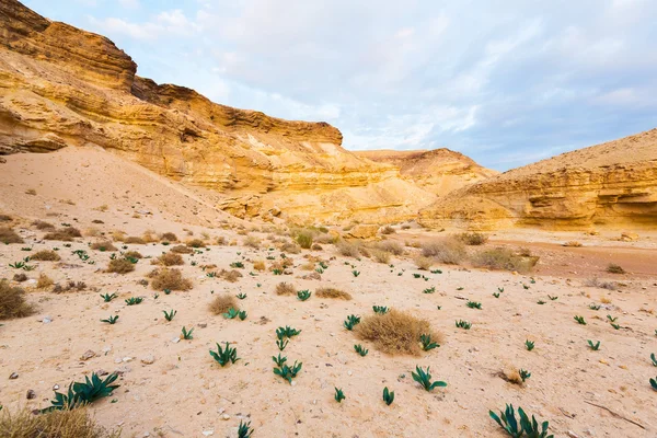 Paisaje en las montañas del desierto —  Fotos de Stock
