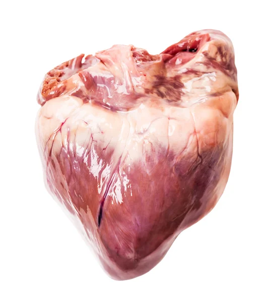 Corazón de cerdo crudo primer plano — Foto de Stock