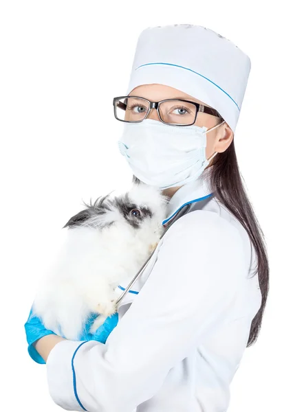 Porträt eines Arztes mit einem dekorativen Kaninchen in der Hand — Stockfoto