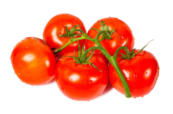 Kilka pomidorów zbliżenie — Zdjęcie stockowe