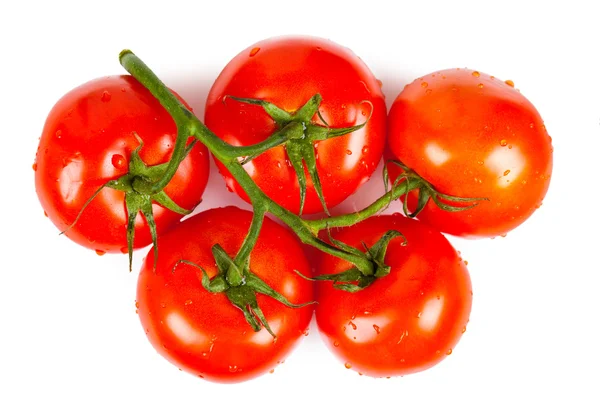 Mazzo di pomodori maturi — Foto Stock