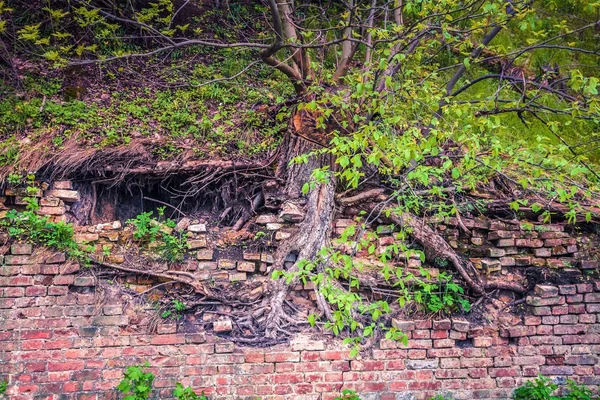 Vintage brick wall — Stock Photo, Image