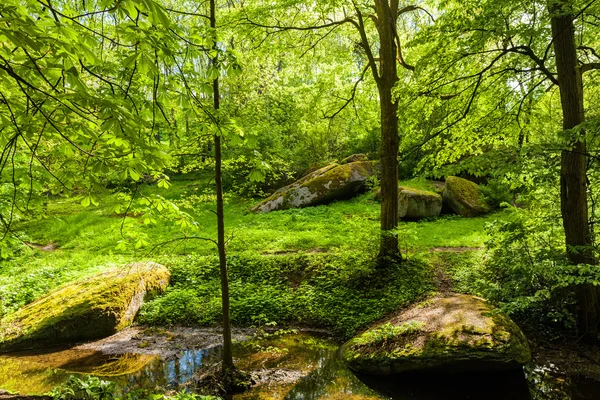 Paisaje verde bosque y río —  Fotos de Stock