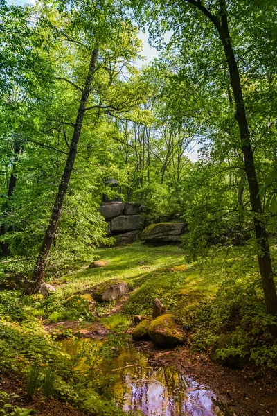 Landschap bossen en creek — Stockfoto