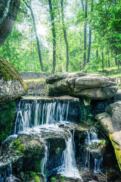 Green forest with a waterfall — Stock Photo, Image