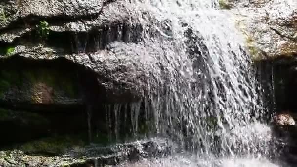 Водоспад тече вниз — стокове відео