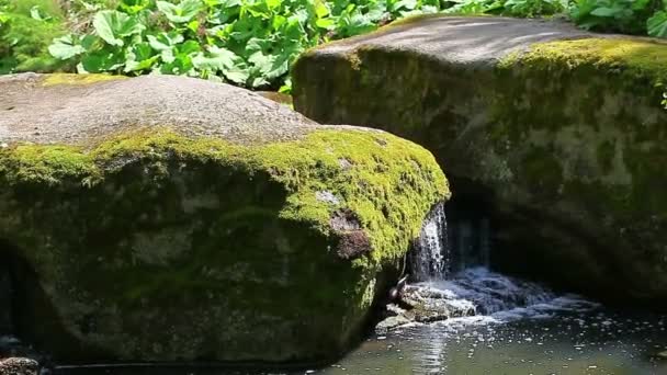 Waterfall flowing down — Stock Footage Waterfall flowing down Royalty Free Stock Footage